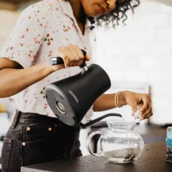 GASTROBACK Teekocher & Wasserkocher|Pour Over Coffee*Design Wasserkocher Pour Over Advanced