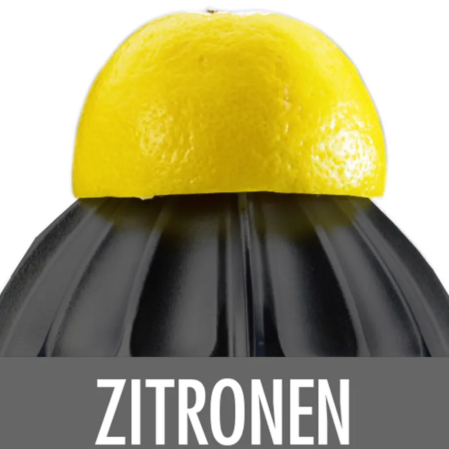 GASTROBACK Zitruspressen*Home Culture - Zitruspresse