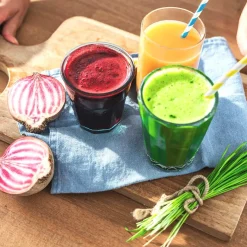 GASTROBACK Entsafter & Slow Juicer*Slow Juicer Advanced Vital